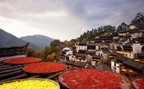 婺源篁嶺門票多少  婺源篁嶺旅游攻略