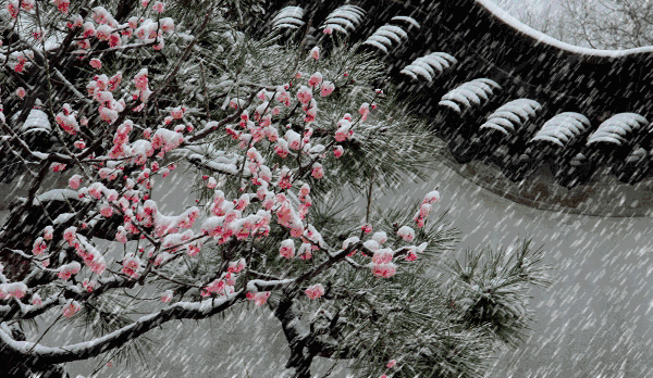 國內適合看雪的地方大全 國內適合看雪的地方大全