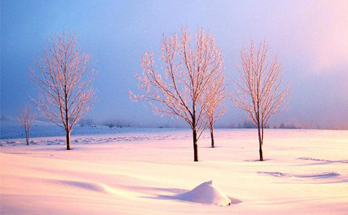 雪鄉(xiāng)在哪 雪鄉(xiāng)怎么去