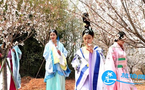 玉林哪里可以賞花 2018玉林賞花攻略地址+交通+門票