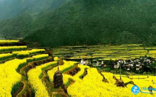 2018清明節(jié)婺源人多嗎 清明節(jié)婺源有油菜花嗎