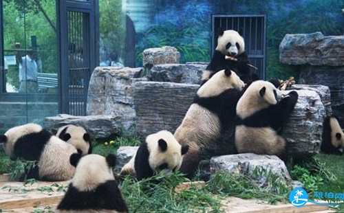 2018北京動(dòng)物園停車場怎么收費(fèi) 北京動(dòng)物園停車場管理規(guī)定