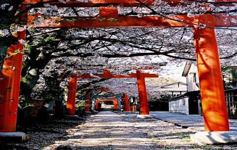 畢業(yè)旅行去日本哪里好