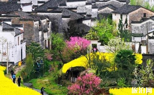 婺源風景區(qū)游玩攻略