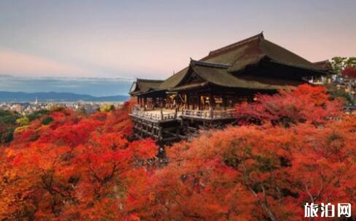 日本楓葉2018預測最佳時間 日本楓葉最佳觀賞點推薦 日本的楓葉什么時候紅