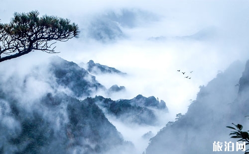 黃山北站出來(lái)怎么坐車