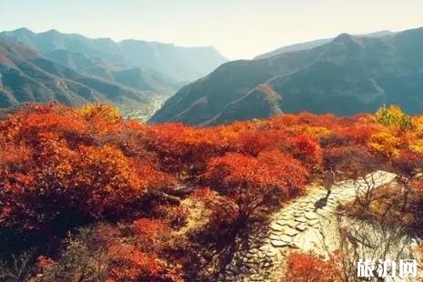 2018年第七屆幽嵐山坡峰嶺紅葉節 北京上方山紅葉觀賞攻略