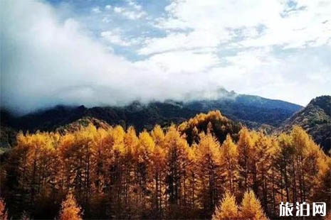 2018神農(nóng)架免費(fèi)的地方 當(dāng)?shù)鼐用駪{身份證免票進(jìn)景區(qū)免票持續(xù)五天嗎