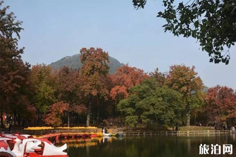 蘇州天平山門票多少錢2018 上海到蘇州天平山怎么走