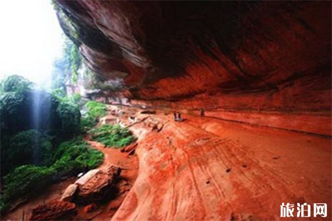 貴州遵義旅游年卡景點待遇
