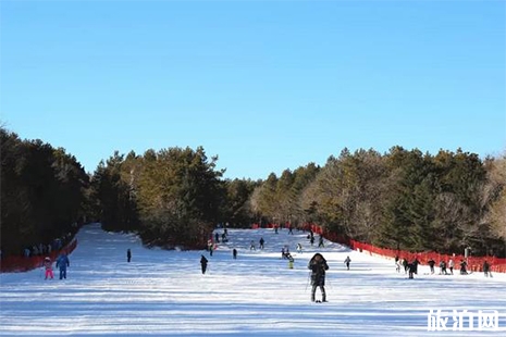 長春凈月潭滑雪場門票 交通+電話