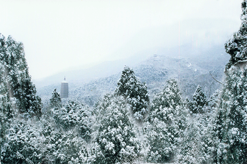 北京八大處游玩攻略(門票+開放時間+地址交通指南) 北京八大處游玩攻略(門票+開放時間+地址交通指南)