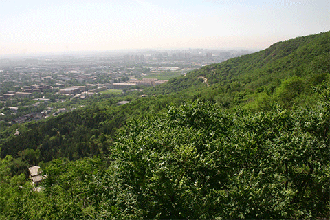 北京八大處游玩攻略(門票+開放時間+地址交通指南) 北京八大處游玩攻略(門票+開放時間+地址交通指南)