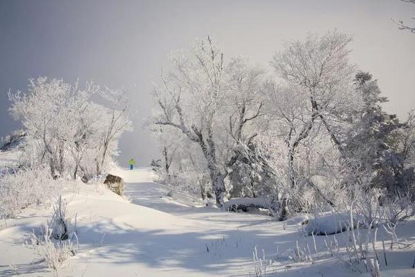 崇禮滑雪場價格大全