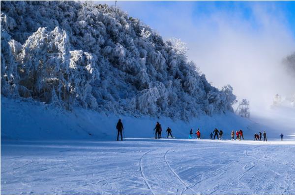 伊春梅花山滑雪場門票價格多少錢
