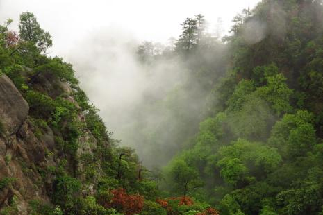 南寧大明山有霧凇了嗎 2019南寧大明山游客限流時間+人數(shù)