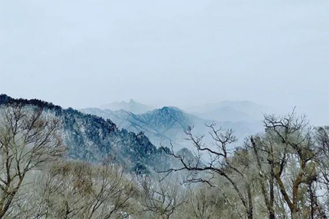 欒川伏牛山滑雪場門票多少錢