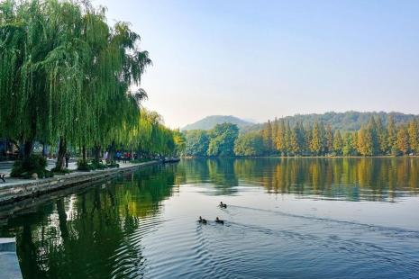 2019杭州公園卡新增景點+年卡價格+辦理地點+使用范圍