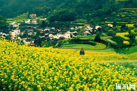 三月中旬去婺源旅行如何做準備