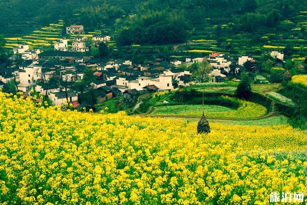 婺源旅游景點推薦