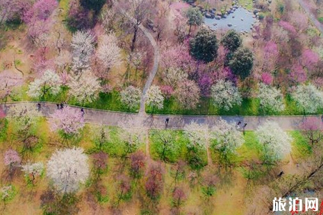 2019年?yáng)|湖賞花聯(lián)票價(jià)格+使用指南+交通指南