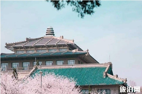 2019武大櫻花開了嗎 武大櫻花3月28日至30日全面開放