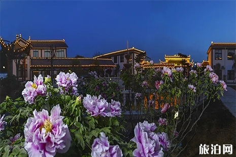 2019方城牡丹花節(jié)4月4日至20日開啟
