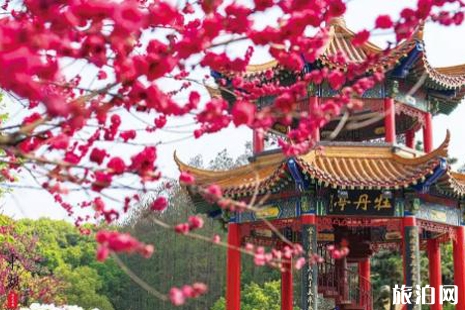 東湖牡丹園地址+開(kāi)放時(shí)間 武漢牡丹園2019一日游攻略