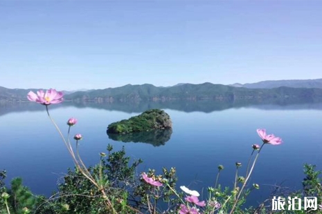 全國旅游年卡一卡通2019匯總整理