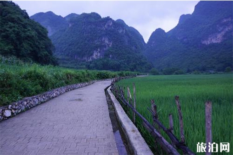 普者黑三天自駕游玩攻略 線路+景點
