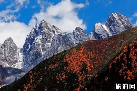 理縣畢棚溝和桃坪羌寨景區5月11日至12日免費游玩信息