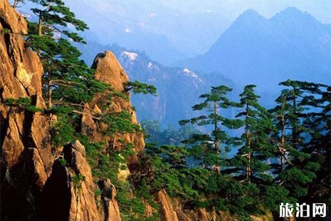 黃山門票 黃山內(nèi)部小交通解讀