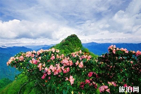 2019年5月19日中國(guó)旅游日四川巴中景區(qū)優(yōu)惠信息匯總