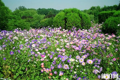 2019石家莊植物園年卡辦理