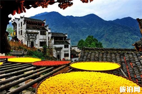 2019中高考準考證婺源篁嶺景區(qū)優(yōu)惠信息