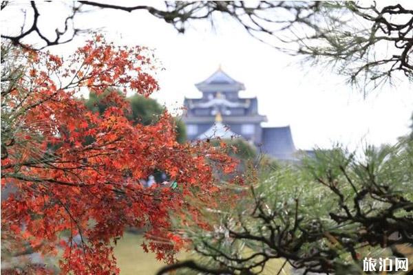 2019日本楓葉預測+地點+交通+介紹