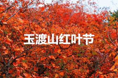 北京11月看紅葉的地方 北京11月看紅葉的地方