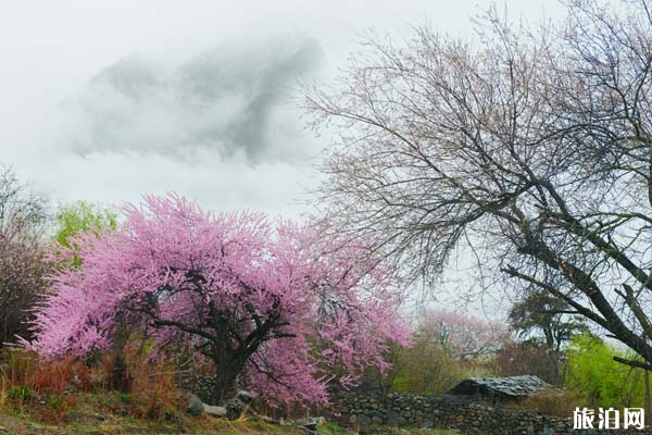 桃花溝景區