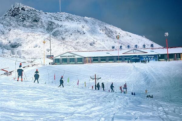 武漢去神龍架滑雪場游玩攻略及費用