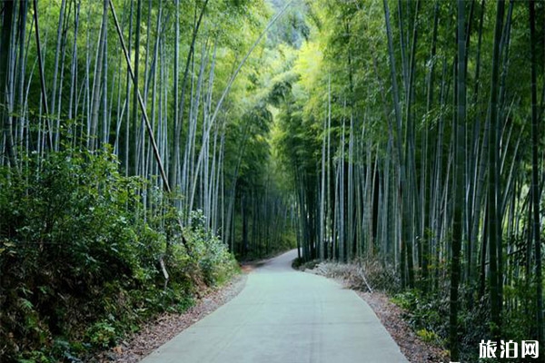 涇縣水墨汀溪風景區(qū)