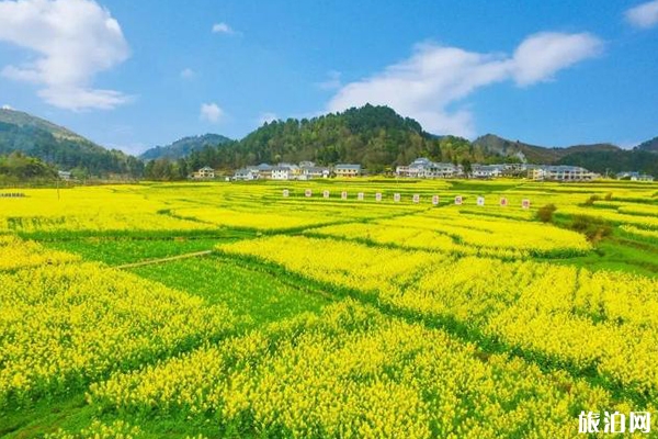 遵義周邊賞花游玩景點(diǎn)推薦