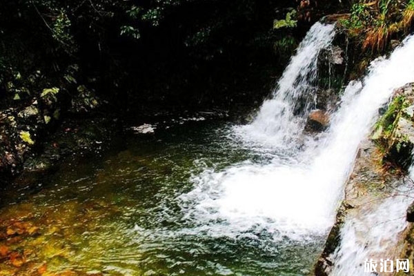 錢江源國家森林公園