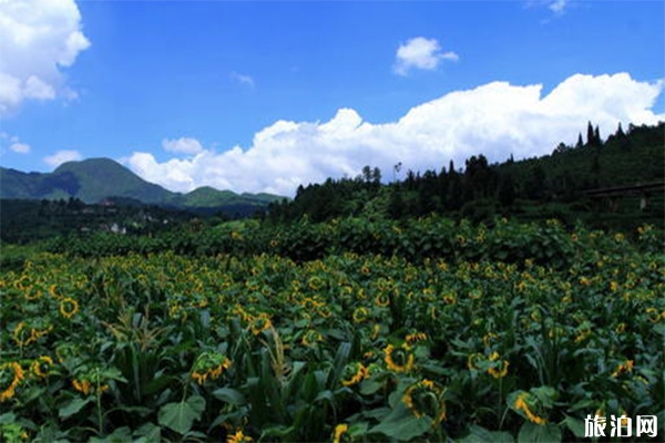牧羊湖介紹 牧羊湖景區(qū)門票多少
