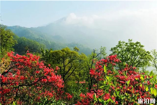 六安景區中國旅游日優惠信息匯總2020