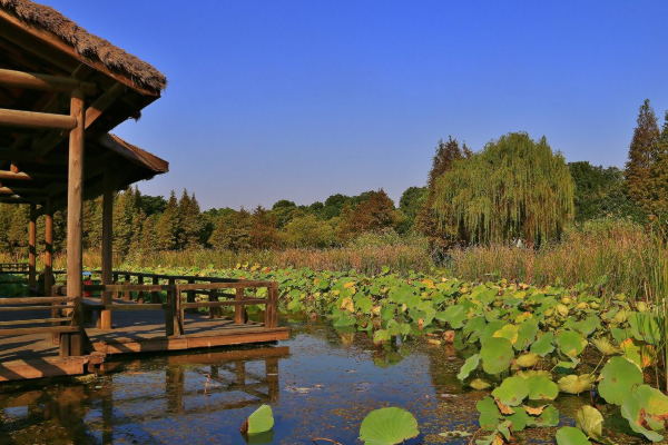 渤公島生態公園