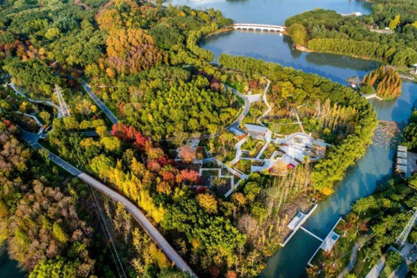 昆山城市生態(tài)森林公園