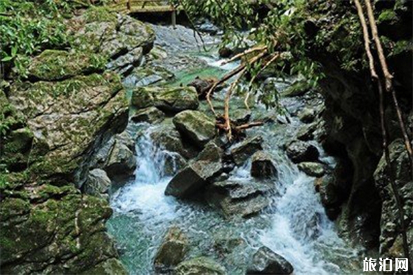 五峰后河自然保護(hù)區(qū)