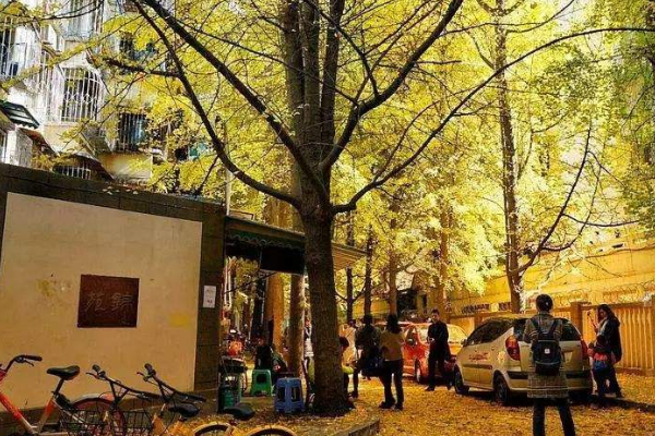 孝感有哪些好玩的旅游景點
