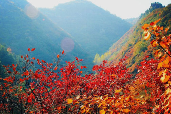 石家莊周邊看紅葉最好的地方