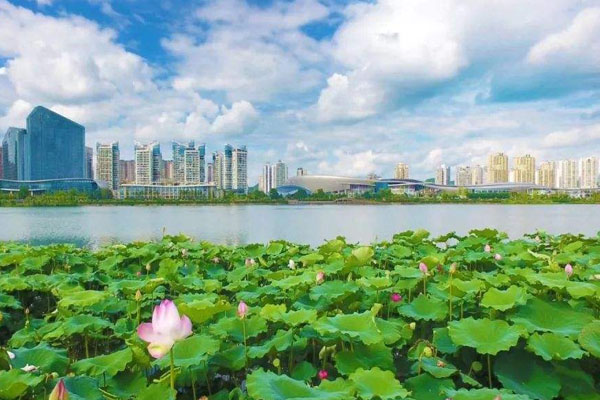 觀音湖國(guó)家濕地公園